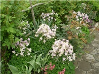 91bc377c-Picture 5867.jpg